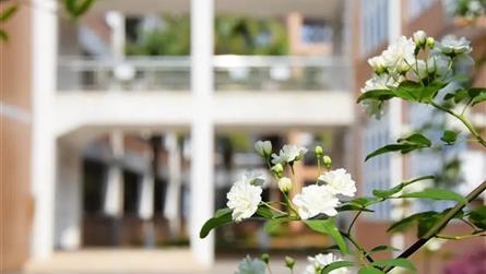 聚力前行 “犇”向未來(lái) || 冠城教育2021年春...