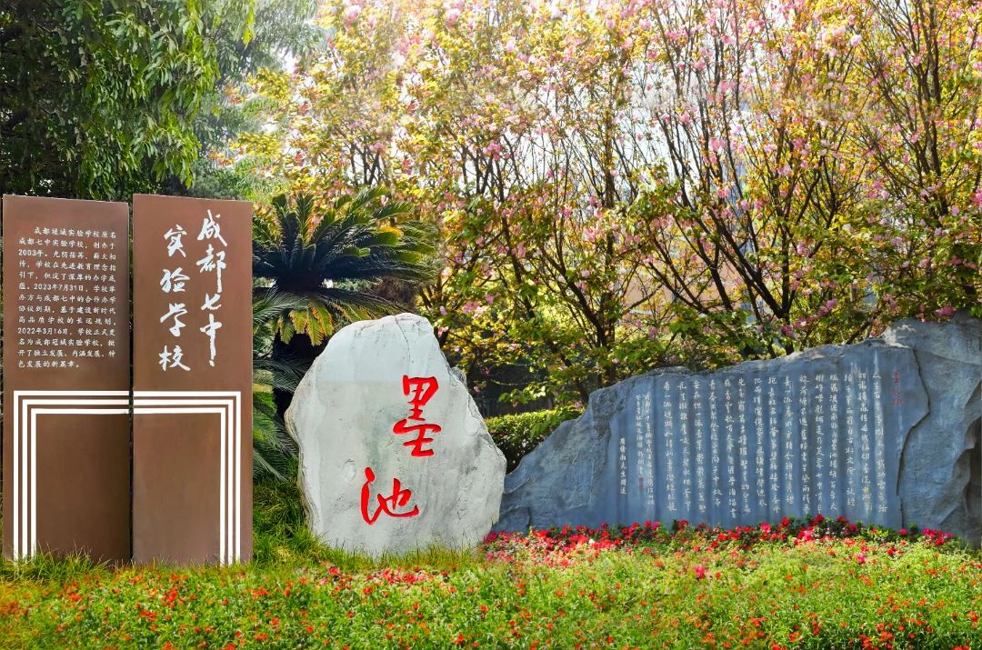 DM_20250407163405_024 DM_20250407163405_024